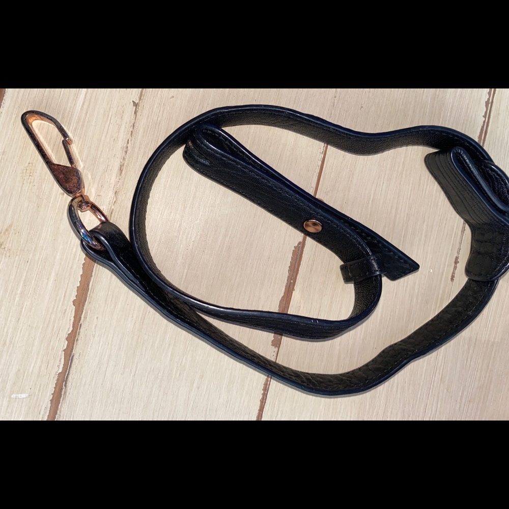 Alexander Wang bag strap